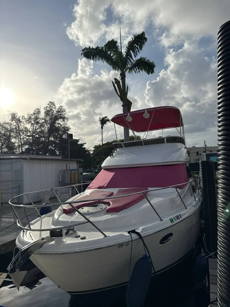 40' Pink Leopard (Meridian) private yacht for Miami sunset and sandbar charters